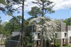 Sunflower Apartments