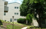 Mountain View Apartments