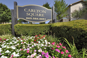 Carlton Square Apartments